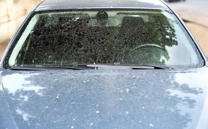 How to Remove Tree Sap From Car Glass Without Staining